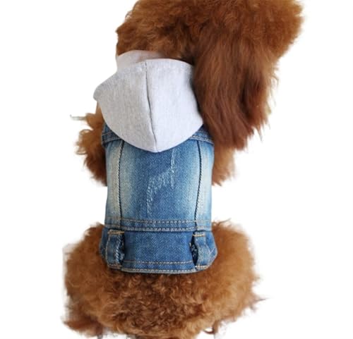 DUOCARA Spring Denim Hundeweste Shih Tzu Kleidung für kleine Hunde, Yorkshire Terrier, Welpen, Jeansjacke für Chihuahua, Kleidung, Katzenkleidung von DUOCARA