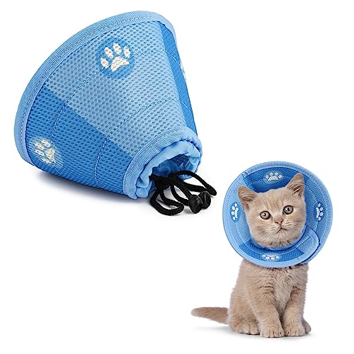 Halskrause Katze, DUOJIN Halsband Einstellbarer Katze Halskrause Leichtgewicht Schutzkragen für Welpen, Kleine Hunde und Katzen (M (Hals: 21.5-30.5cm)) von DUOJIN