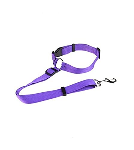 Seil Haustier Haustier Auto Sicherheitsgurt Nylon Sitzgurt Einstellbare Einstellbare Kabelbaum Sicherheitsgurt Blei Leine for kleine mittelgroße Hunde Reiseclip Haustierleine Mit (Size : 4) von DUnLap