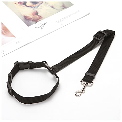 Seil Haustier Haustier Hund Auto Sicherheitsgurt Einstellbare Bleileine Kabelbaum for kleine Hunde Kätzchen liefert Haustier Zubehör Welpensitz Bleileine Haustierleine Mit (Size : Black) von DUnLap