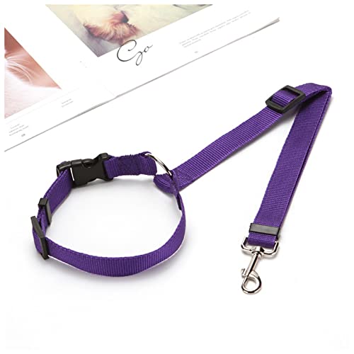 Seil Haustier Verstellbarer Haustier Sicherheitssitz Gürtel Hund Praktische Sicherheitsgurt Kabelbaum Leine Reise Clip Strap Blei Blei Car Belt PET PET Welpensitz Bleileine Haustierleine Mit (Size : von DUnLap