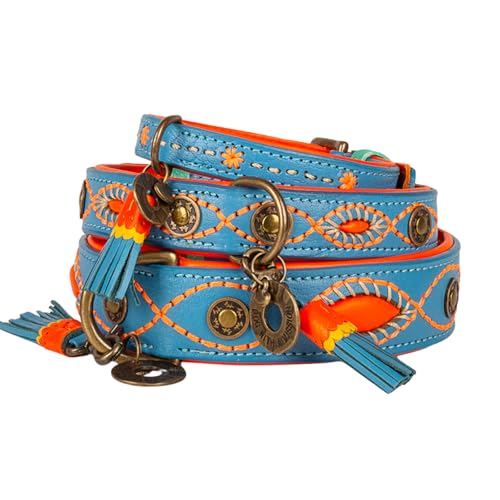 Dog with a Mission - Hundehalsband M | Blau, Orange, Bestickt | Boho, Ethno, Urban, Hippie | Mittelgroße Hunde | Handgemacht | Modisch und Bunt | Aus weichem Echtes Leder | 2,5 cm Breit von DWAM Dog with a Mission