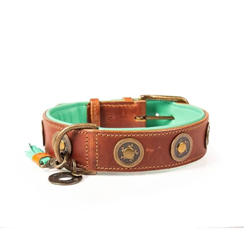 DWAM Dog with a Mission - Hundehalsband L | Braunes Leder, Türkis | Hübsch, Boho, Ethno, Urban, Hippie | Große Hunde | Handgemacht | Modisch und Bunt | Aus weichem Echtes Leder | Luxe | 4 cm Breit von DWAM Dog with a Mission