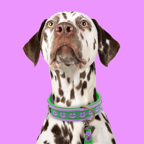 Dog with a Mission - Hundehalsband L | Smiley, Grün und Lila mit Perlenmuster | Boho und Hippie | Ideal für große Hunde | Handgemacht | Modisch und Bunt | Aus weichem Echtes Leder | 4 cm Breit von DWAM Dog with a Mission