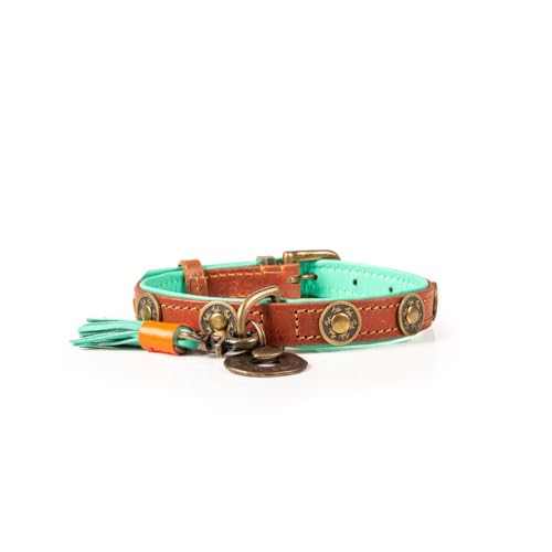 DWAM Dog with a Mission - Hundehalsband S | Braunes Leder, Türkis | Hübsch, Boho, Ethno, Urban, Hippie | Kleine Hunde | Handgemacht | Modisch und Bunt | Aus weichem Echtes Leder | Luxe | 2 cm Breit von DWAM Dog with a Mission