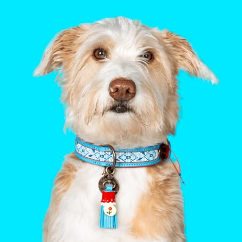 DWAM Dog with a Mission - Hundehalsband S | Dutchie, Blau und Rot mit Perlen | Boho und Hippie | Ideal für kleine Hunde | Handgemacht | Modisch und Bunt | Aus weichem Echtes Leder | 2 cm Breit von DWAM Dog with a Mission