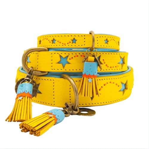 DWAM Dog with a Mission - Hundehalsband - Verstellbar - Weichem Leder – Gelb – M – Leder – Halsumfang zwischen 32–39 x 2,5 cm – Blue Star von DWAM Dog with a Mission