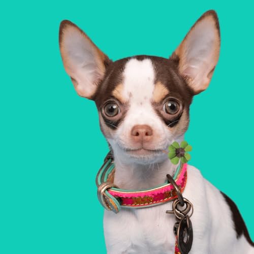 DWAM Dog with a Mission - Hundehalsband - Verstellbar - Weichem Leder – Rosa – XXXS – Leder – Halsumfang zwischen 15–21 cm – Lizzy Mini Dog von DWAM Dog with a Mission