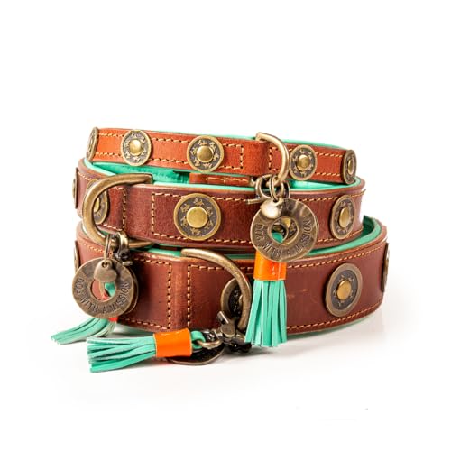 DWAM Dog with a Mission - Hundehalsband XL | Braunes Leder, Türkis | Hübsch, Boho, Ethno, Urban, Hippie | Große Hunde | Handgemacht | Modisch und Bunt | Aus weichem Echtes Leder | Luxe | 4 cm Breit von DWAM Dog with a Mission