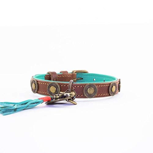 DWAM Dog with a Mission - Hundehalsband XXS | Braunes Leder, Türkis | Hübsch, Boho, Ethno, Urban, Hippie | Kleine Hunde | Handgemacht | Modisch und Bunt | Aus weichem Echtes Leder | Luxe | 2 cm Breit von DWAM Dog with a Mission