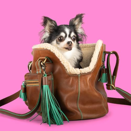 Dog with a Mission - Hundetasche | Hundetragetasche für kleine Hunde | Welpentasche | Transporttasche | Hundereisetasche | Blondie | Braun -|Leder - Einheitsgröße 32 x 20 x 27 cm von DWAM Dog with a Mission