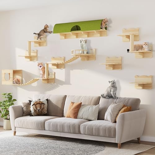 DWVO Katzen-Wandregale und Sitzstangen für Wand, Kiefer Holz Wandmontierte Katzenmöbel, 16 Stück Katzenkletterregale mit Katzenbett, Wandhaus, Wandstufen, Brückenleiter, Kratzbaum und Katzentunnel von DWVO