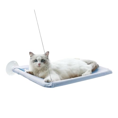 DWZXL Katzen Kletterwand Katze Hängematte Fenster Katze Klettergerüst Balkon Hängen Saugnapf Hängen Nest Haustier Sonnenbaden Artefakt Klettergerüst Für Katzen(Blue) von DWZXL