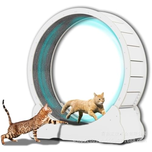 DWZXL Katzenrad Heimgebrauch Einfache Rolle Leises Haustier Holz Übung Laufrad Katze Klettergerüst Haustier Holz Katze Laufband Cat Wheel(White) von DWZXL