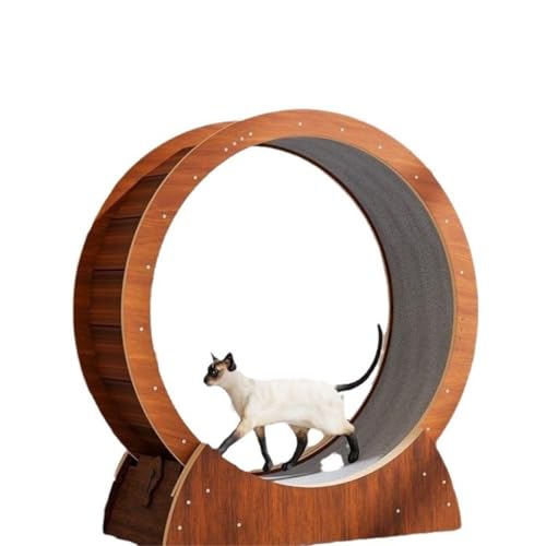 DWZXL Katzenrad Katzenlaufband Katzenlaufrad Sportrollenspielzeug Massivholz Großes Katzenklettergerüst Haustier Katzenbedarf Katzenspielzeug Cat Wheel(L) von DWZXL