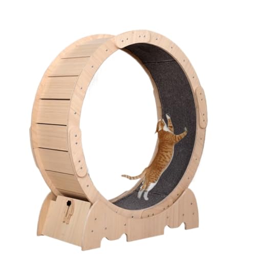 DWZXL Katzenrad Laufband for Katzen, Katzenspielzeug, lindert Langeweile, leiser Roller, Klettergerüst for Katzen, solide Holzplatte, Heimtierbedarf Cat Wheel(L) von DWZXL