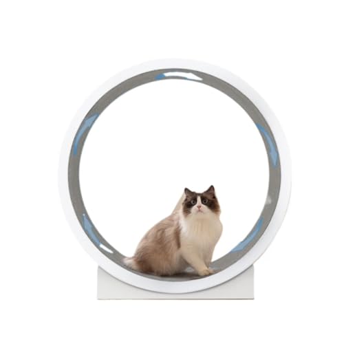 DWZXL Katzenrad Laufband for Katzensport, 1,2 Meter, großer Durchmesser, Rollen-Klettergerüst for Katzen, großes Sport-Laufrad for Katzen Cat Wheel von DWZXL