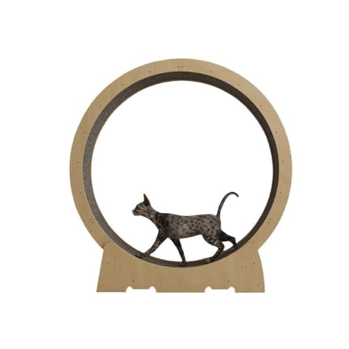 Katzenrad Laufband for Katzen, Klettergerüst for Katzen, Laufband mit Fitness-Rolle for Haustiere, geräuschloses Laufrad for Katzen Cat Wheel(L) von DWZXL