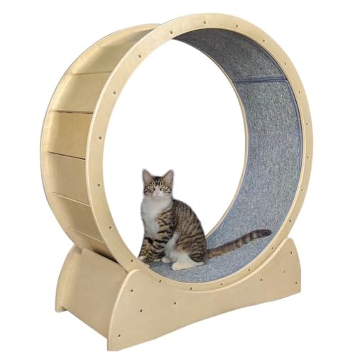 Katzenrad Laufband for Katzen, modische Rolle, Übungsspiel, bequemes Trainingsspielzeug for Haustiere, Laufrad, großes Massivholz Cat Wheel(A,S) von DWZXL