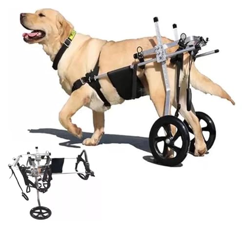 DXYOYONGOZ Haustier-Rollstuhl, Hunderollstuhl, Behindertengerechter großer Hundemobilitätswagen, Labrador-Walking-Recovery-Räder, gelähmtes Fahrzeug mit Unterstützung for die Hinterbeine(Large) von DXYOYONGOZ