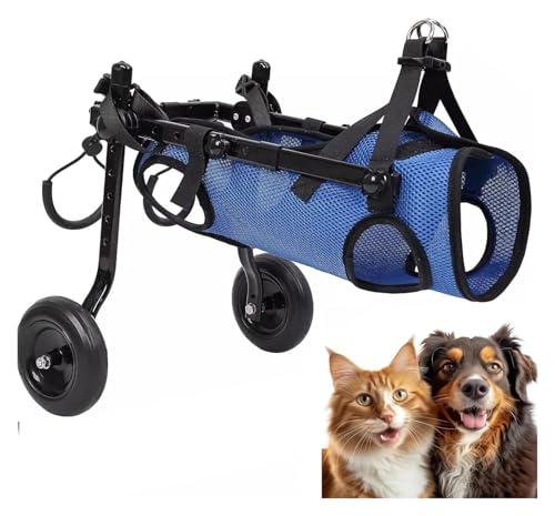 DXYOYONGOZ Haustier-Rollstuhl, Hunderollstuhl, Haustier-Rollstuhl, klein/mittelgroß, for Hunde, Katzen, behindertengerechter Hundewagen/gehunterstütztes Auto(Medium) von DXYOYONGOZ