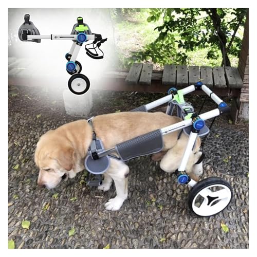 DXYOYONGOZ Haustier-Rollstuhl, Hunderollstuhl, Mobilitäts-Hunderollstuhl zur Unterstützung der Hinterbeine, große/mittlere Hundewagenhilfen(Size M) von DXYOYONGOZ