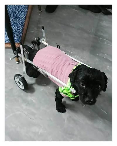 DXYOYONGOZ Hundewagen/Rollstuhl, Hunderollstuhl, 2-Räder-Hundewagen-Rollstühle, unterstütztes Gehgerät for Haustiere for gelähmte Hinterbeine(Size L) von DXYOYONGOZ