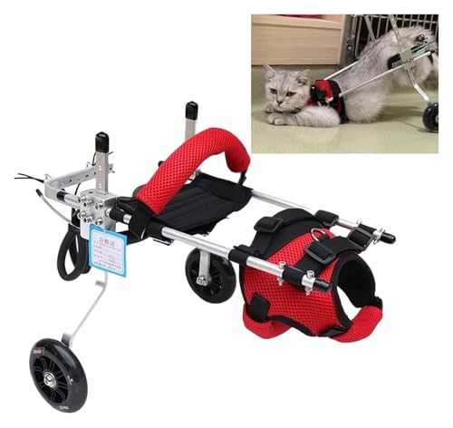 DXYOYONGOZ Hundewagen/Rollstuhl, Hunderollstuhl, Behindertentiermobilitätsgerät for Hinterbeine, Aluminiumlegierung for Katzen und Hunde zur Unterstützung der Beinstütze(Large) von DXYOYONGOZ