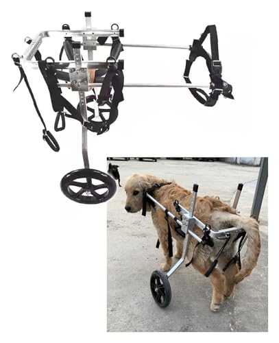 DXYOYONGOZ Hundewagen/Rollstuhl, Hunderollstuhl, Hunderollstuhl Großer/X-großer Hunderehabilitationsrollstuhl for Behinderte, Hundeunterstützter Gehwagen for jedes Gelände(Medium) von DXYOYONGOZ