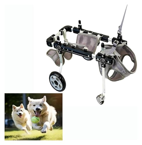 DXYOYONGOZ Hundewagen/Rollstuhl, Hunderollstuhl, Leichtes und verstellbares Hundemobilitätsgerät mit Rädern, Behindertenbeinstütze for das Erholungstraining des Hundes(Large) von DXYOYONGOZ