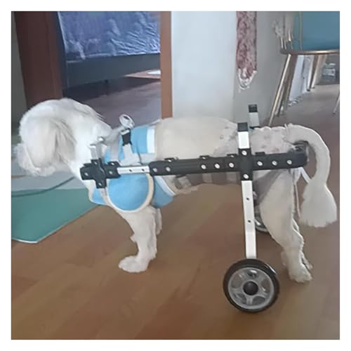 DXYOYONGOZ Hundewagen/Rollstuhl, Hunderollstuhl, Rollstuhl-Kinderwagen mit 2 Rädern for die Hinterbeine von Hunden, behindertengerechtes Auto mit Mobilitätshilfe for Hunde(Large) von DXYOYONGOZ