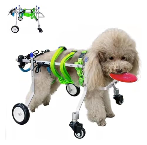 DXYOYONGOZ Hundewagen/Rollstuhl, Hunderollstuhl, Verstellbarer Gehwagen mit Gehhilfe for verletzte Hunde, Rollstuhl mit eingeschränkter Mobilität for Hunde, Trainingshilfe for Tiere(Small) von DXYOYONGOZ