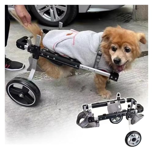 DXYOYONGOZ Rollstuhl für Hunde, Hunderollstuhl, 2-Räder-Rehabilitationswagen for kleine/große/mittlere Hunde, Aluminium-Rollwagen zur Unterstützung der hinteren Mobilität(Large) von DXYOYONGOZ