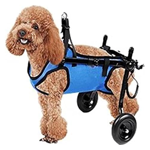 DXYOYONGOZ Rollstuhl für Hunde, Hunderollstuhl, Behinderten-Hundewagen/Laufwagen mit Gehhilfe, leichtes Laufgerät for Tiere zur Wiederherstellung der Gliedmaßen(Medium) von DXYOYONGOZ