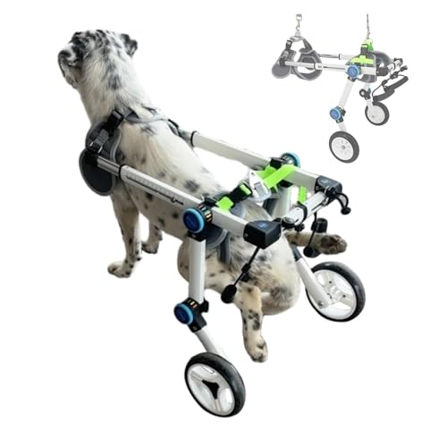 DXYOYONGOZ Rollstuhl für Hunde, Hunderollstuhl, Haustier-Mobilitätswagen aus Aluminium mit Hundegeschirr und Hundeleine, Kinderwagen for kleine/mittlere/große Tiere(Size 2X-Small) von DXYOYONGOZ