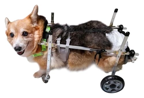 DXYOYONGOZ Rollstuhl für Hunde, Hunderollstuhl, Hunde-Rehabilitationswagen aus Metall for kleine Haustiere, behinderte Tiere, Übungsrollstühle(Size XXS) von DXYOYONGOZ