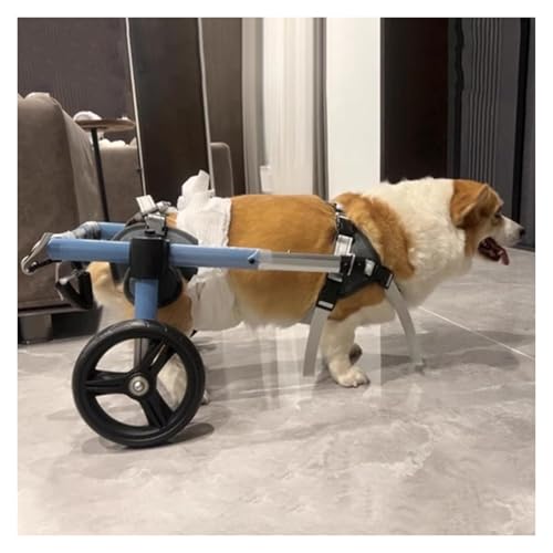 Haustier-Rollstuhl, Hunderollstuhl, Verstellbare Mobilitätshilfe for Haustiere for die Hinterbeine, Rollstuhl for behinderte Haustiere, Unterstützung bei der Rehabilitation von Hunden(Large) von DXYOYONGOZ