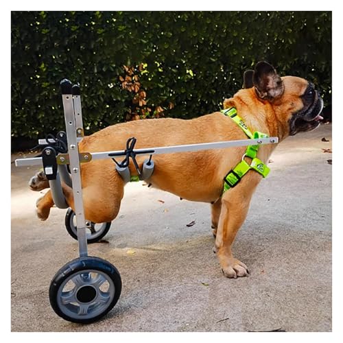 Hundewagen/Rollstuhl, Hunderollstuhl, 2-Räder-Gehwagen mit Unterstützung for Haustiere zur Unterstützung der Hüfte, kleiner, mittelgroßer und großer Hundemobilitätshilfen-Gehwagen(L(widen)) von DXYOYONGOZ