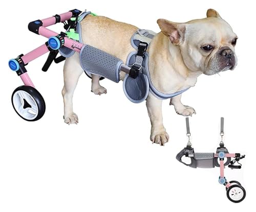 Hundewagen/Rollstuhl, Hunderollstuhl, Verstellbare Rehabilitationshilfen for Haustiere mit Arthritis-Verletzten, Unterstützung for die Wiederherstellung der Mobilität bei Tieren(Pink,Medium) von DXYOYONGOZ