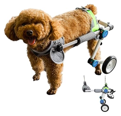 Hundewagen/Rollstuhl, Hunderollstuhl, Verstellbare Rehabilitationshilfen for Haustiere mit Arthritis-Verletzten, Unterstützung for die Wiederherstellung der Mobilität bei Tieren(White,X-Small) von DXYOYONGOZ