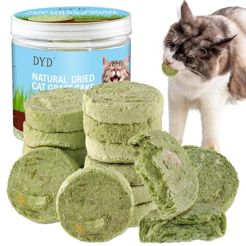 DYD Katzengras Gefriergetrocknete Katzen Leckerlies, Nahrhafter Katzengras-Snack, Hilft Beim Austreiben von Haarballen, Schützt Magen und Darm der Katze von DYD