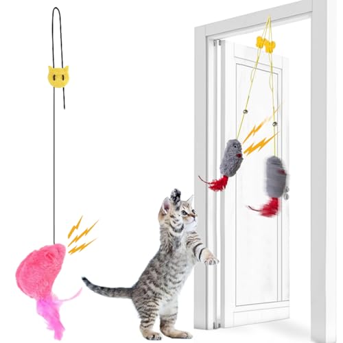 DYKeWei Katzenspielzeug Selbstbeschäftigung Quietschgeräusch Interaktives Magic Maus Hängende Elastische,mit Federschwanz für Katzen und Kätzchen,Dancer für Katzenauslauf und gegen Langeweile (1pc-C) von DYKeWei