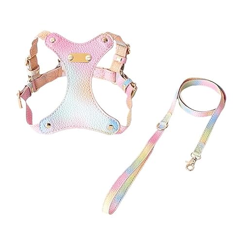 Hundeweste mit Clip vorne und hinten, verstellbar, weich gepolstert, Leinenhalter for Haustiere, begehbare Hundeweste und Leinenholster, leichtes Westengeschirr for Training oder Spazierengehen, kontr von DYUES-SDOEMVIEN