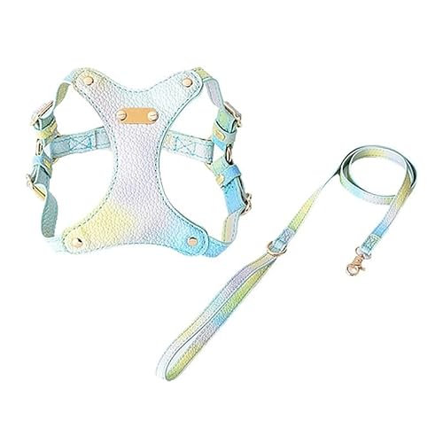 Hundeweste mit Clip vorne und hinten, verstellbar, weich gepolstert, Leinenhalter for Haustiere, begehbare Hundeweste und Leinenholster, leichtes Westengeschirr for Training oder Spazierengehen, kontr von DYUES-SDOEMVIEN