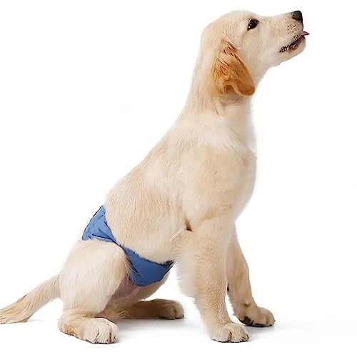 Bauchband Für Männliche Hundewickel, Hochsaugfähige Hundewindeln, Wiederverwendbare Bauchwickel/waschbare Männliche Hundehaustierwindeln Für Erregbare Urininkontinenz,L,Blue von DaBoJinGo