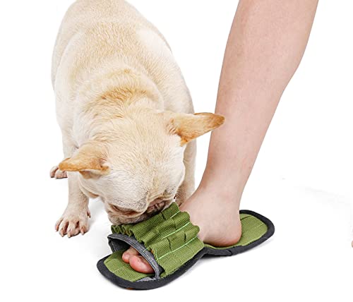 DaBoJinGo Hund Schuhform Kauen Langlebiges Quietschendes Puzzle Plüsch Süßes Hundespielzeug Hunde Kauen Und Interagieren Maschinenwaschbares Haustier Kauspielzeug,Green von DaBoJinGo