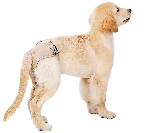 Windeln für Hündinnen, waschbare, Wiederverwendbare Windeln für Hunde, verstellbare Größe, Windeln für Hündinnen bei Haustierinkontinenz, für Hunde in Hitze,XL,Beige von DaBoJinGo