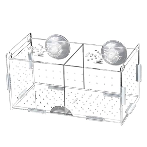 DaMohony Fischbrutkasten Aquarium 7.8 Fischzuchtbox mit Saugnäpfen & Haken für kleine Babyfische Betta Guppy Clownfisch von DaMohony