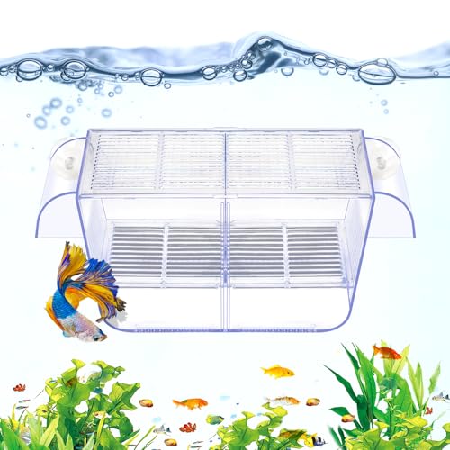 DaToo Fischzuchtbox Aquarium Haltetank Transparent Fisch Isolation Box Akklimatisierung Brutkasten Brutkasten für Babyfische Betta Garnelen Clownfisch Guppy Groß von DaToo