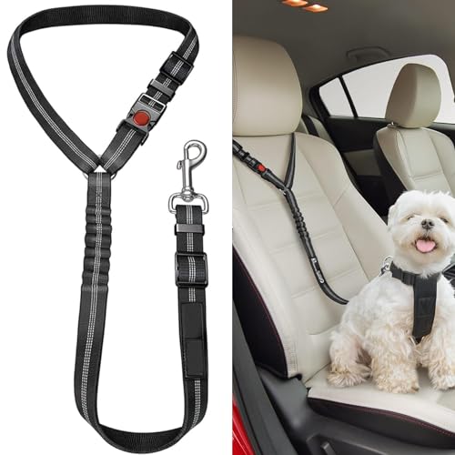 Hundegurt Verstellbarer Anschnallgurt Hund Hundeleine fürs Auto mit Elastischer Ruckdämpfung und Starke Karabiner Universal Rückbank für Kleine Hunde Mittelgroße Hunde Welpen Zubehör(Schwarz) von DabbOo